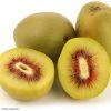 Kiwi - Actinidia Deliciosa Kiwi Wonder -Promesse de fleurs Boutique Actinidia deliciosa Wonder 84702 1