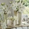 Collection Bulbes Pour Bouquets Modernes Blancs -Promesse de fleurs Boutique Collection bulbes pour bouquets modernes blancs 18974 1