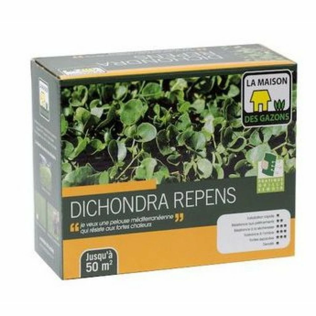 Graines De Dichondra Repens 3 Graines De Dichondra Repens
