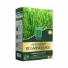 Gazon Premium Regarnissage - Semences Enrobées - BHS -Promesse de fleurs Boutique Gazon premium regarnissage Semences enrobees IF 17053 1