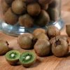 Kiwi Jenny (autofertile) - Actinidia Deliciosa 1 Kiwi Jenny (autofertile) - Actinidia Deliciosa -Promesse de fleurs Boutique Kiwi Jenny autofertile 78130 1