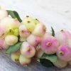 Symphorine - Symphoricarpos Orbiculatus Symphony Rave 2 Symphorine - Symphoricarpos Orbiculatus Symphony Rave -Promesse de fleurs Boutique Symphorine Symphoricarpos orbiculatus Symphony Rave IF 19045 1